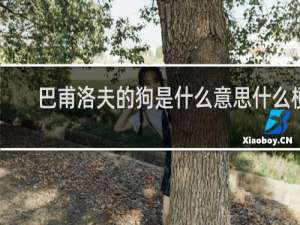 巴甫洛夫的狗是什么意思什么梗