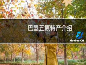 巴盟五原特产介绍