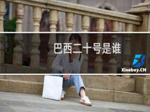 巴西二十号是谁