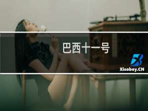 巴西十一号
