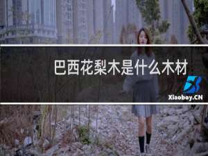 巴西花梨木是什么木材