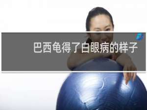 巴西龟得了白眼病的样子