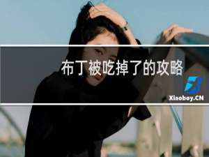 布丁被吃掉了的攻略