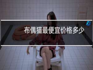 布偶猫最便宜价格多少钱一只（布偶猫价格多少钱一只纯种的布偶猫价格都在五千元以上）
