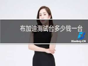 布加迪测试台多少钱一台