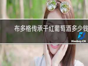 布多格传承干红葡萄酒多少钱