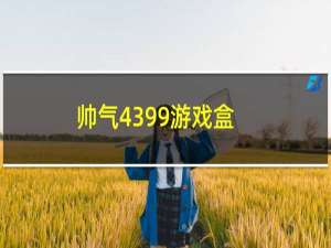 帅气4399游戏盒