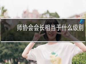 师协会会长相当于什么级别