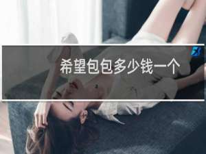 希望包包多少钱一个