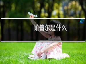 帕普尔是什么（ppe是什么意思啊）