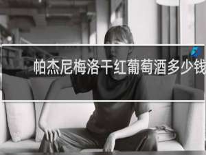 帕杰尼梅洛干红葡萄酒多少钱