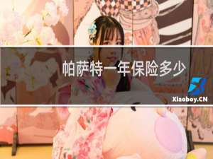 帕萨特一年保险多少
