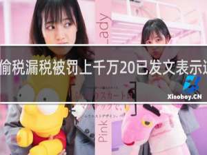 帝师偷税漏税被罚上千万 已发文表示道歉什么梗