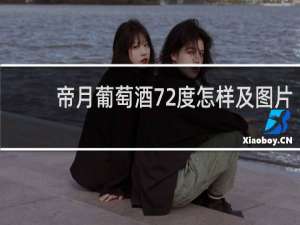 帝月葡萄酒72度怎样及图片