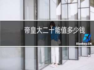 帝皇大二十能值多少钱
