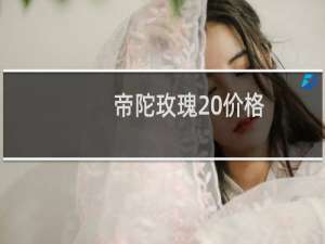 帝陀玫瑰 价格