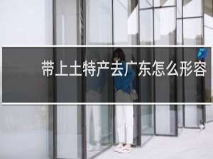 带上土特产去广东怎么形容