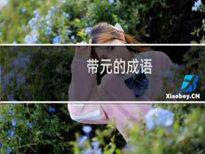 带元的成语