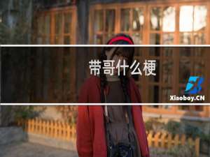 带哥什么梗