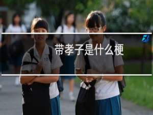 带孝子是什么梗