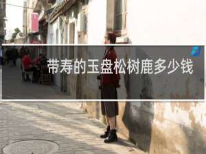 带寿的玉盘松树鹿多少钱