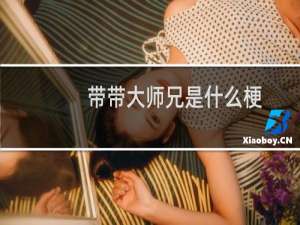 带带大师兄是什么梗，是干嘛的什么梗