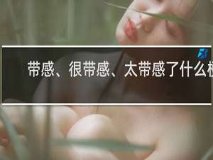带感、很带感、太带感了什么梗