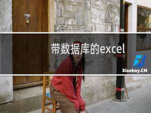 带数据库的excel