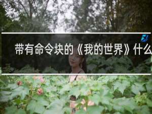 带有命令块的《我的世界》什么梗