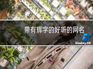 带有辉字的好听的网名
