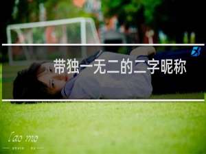 带独一无二的二字昵称（好听的两个字的昵称）