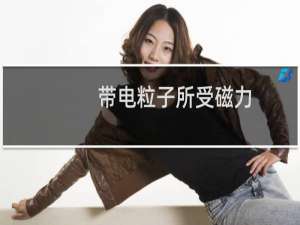 带电粒子所受磁力