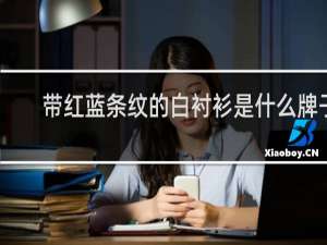 带红蓝条纹的白衬衫是什么牌子
