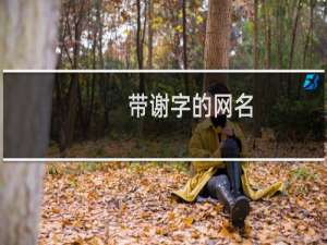 带谢字的网名