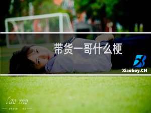 带货一哥什么梗