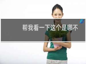 帮我看一下这个是哪不一至导致审核通过不了？