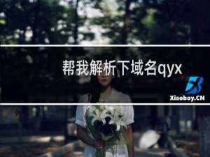 帮我解析下域名qyxs.vip