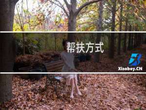 帮扶方式