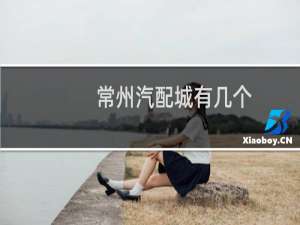 常州汽配城有几个