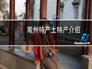 常州特产土特产介绍