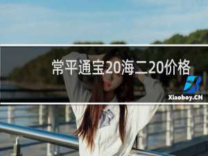 常平通宝 海二 价格