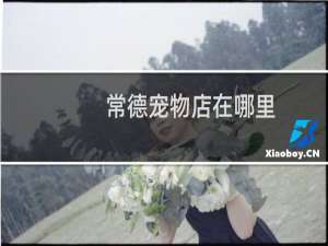 常德宠物店在哪里