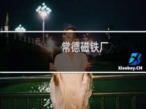 常德磁铁厂