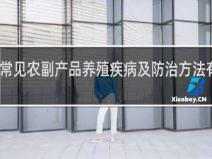 常见农副产品养殖疾病及防治方法有哪些？