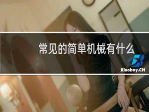 常见的简单机械有什么