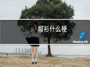 帽衫什么梗