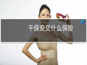 干保安交什么保险