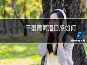 干型葡萄酒口感如何
