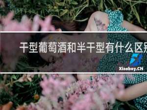 干型葡萄酒和半干型有什么区别