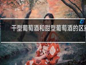干型葡萄酒和甜型葡萄酒的区别